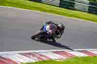 cadwell-no-limits-trackday;cadwell-park;cadwell-park-photographs;cadwell-trackday-photographs;enduro-digital-images;event-digital-images;eventdigitalimages;no-limits-trackdays;peter-wileman-photography;racing-digital-images;trackday-digital-images;trackday-photos